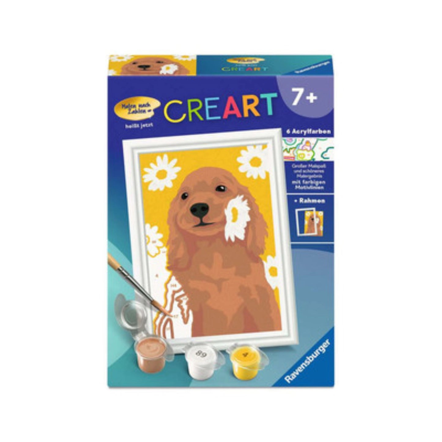 Ravensburger - CREART - Malen nach Zahlen - Cocker-Spaniel Sunny