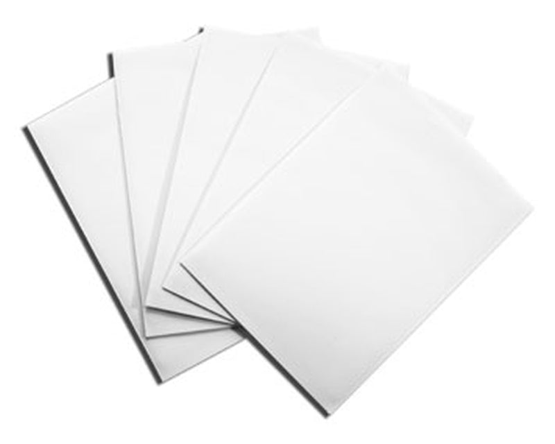 Dragon Shield: White (100 Sleeves) - Standard Size