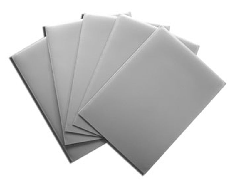 Dragon Shield: Silver (100 Sleeves) - Standard Size