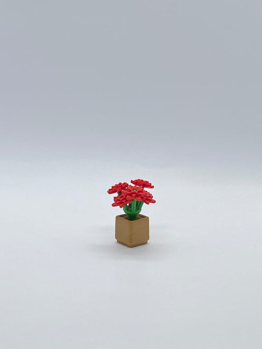 Playmobil Weihnachtsstern - Blumen - Weihnachten - A2444
