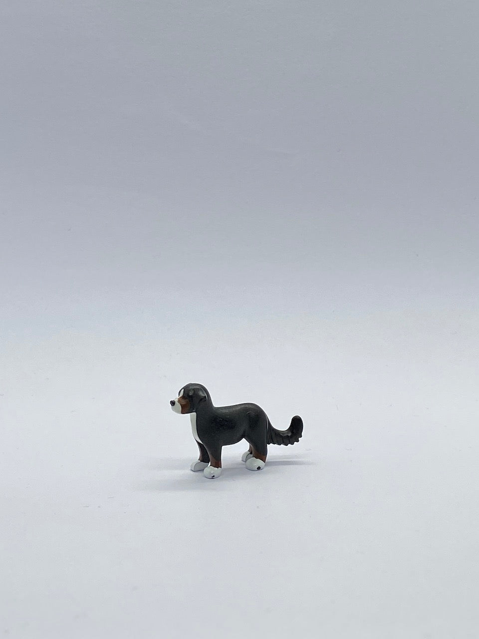 Playmobil Welpe - Hund - Berner Sennenhund - A0287
