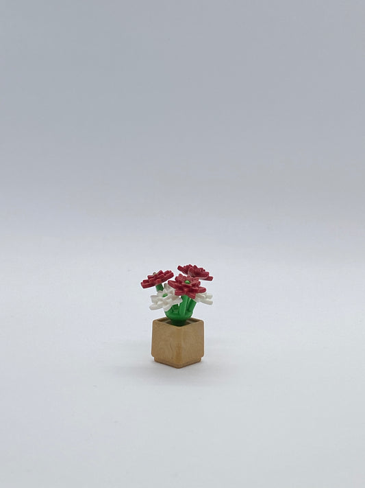 Playmobil Weihnachtsstern - Blumen - Weihnachten - 2429